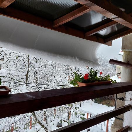 Holiday House Văliug エクステリア 写真