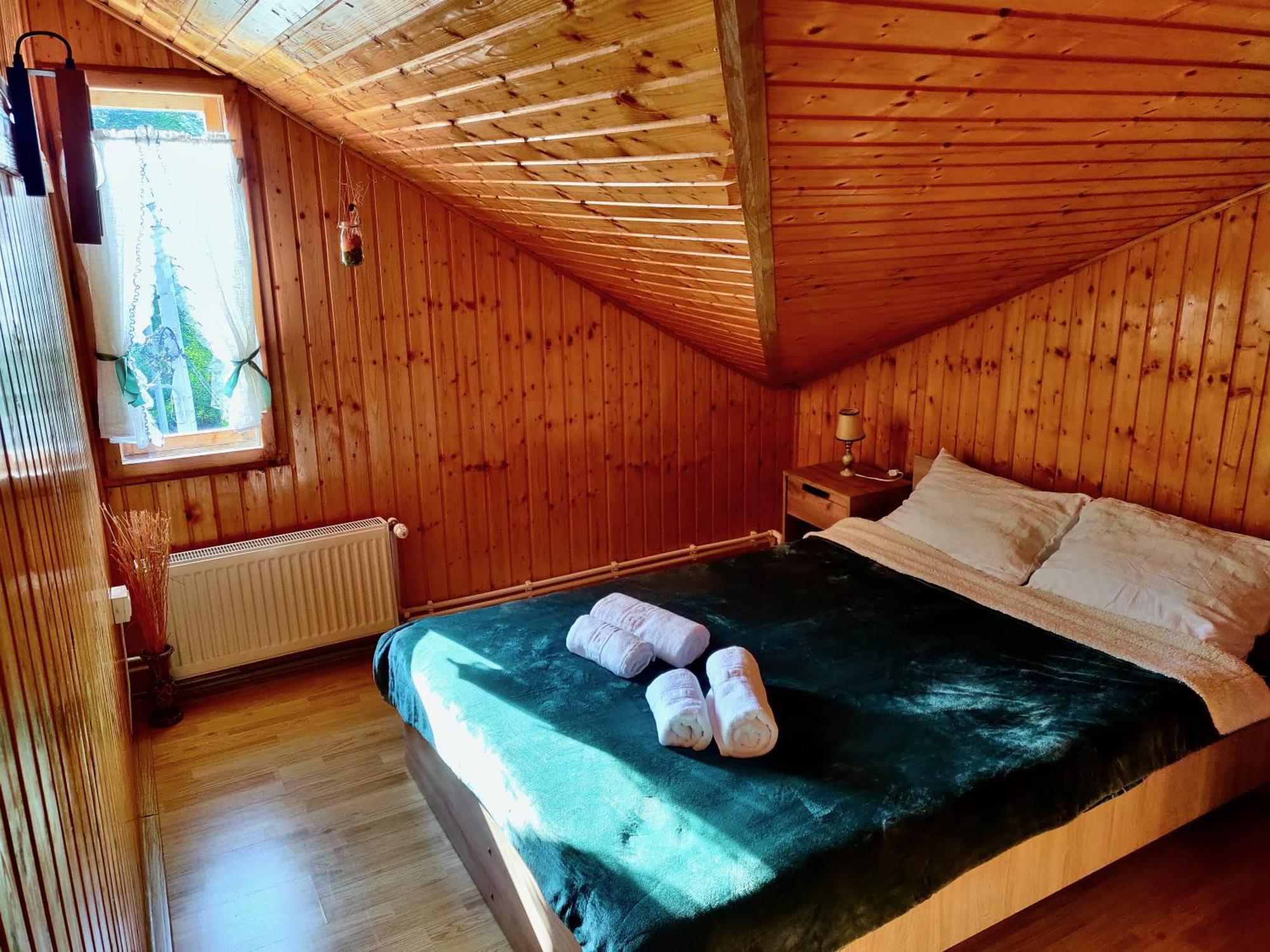 Holiday House Văliug エクステリア 写真