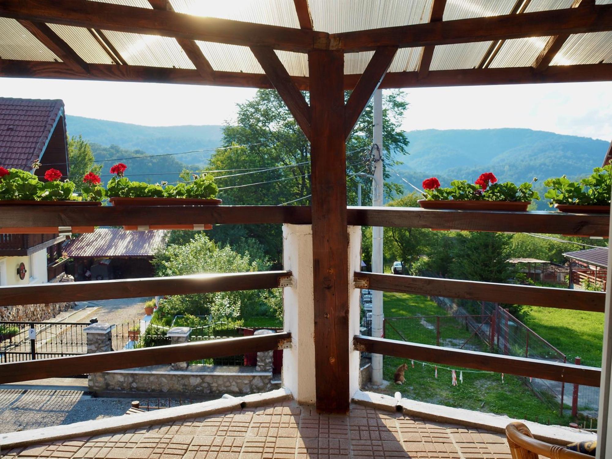 Holiday House Văliug エクステリア 写真