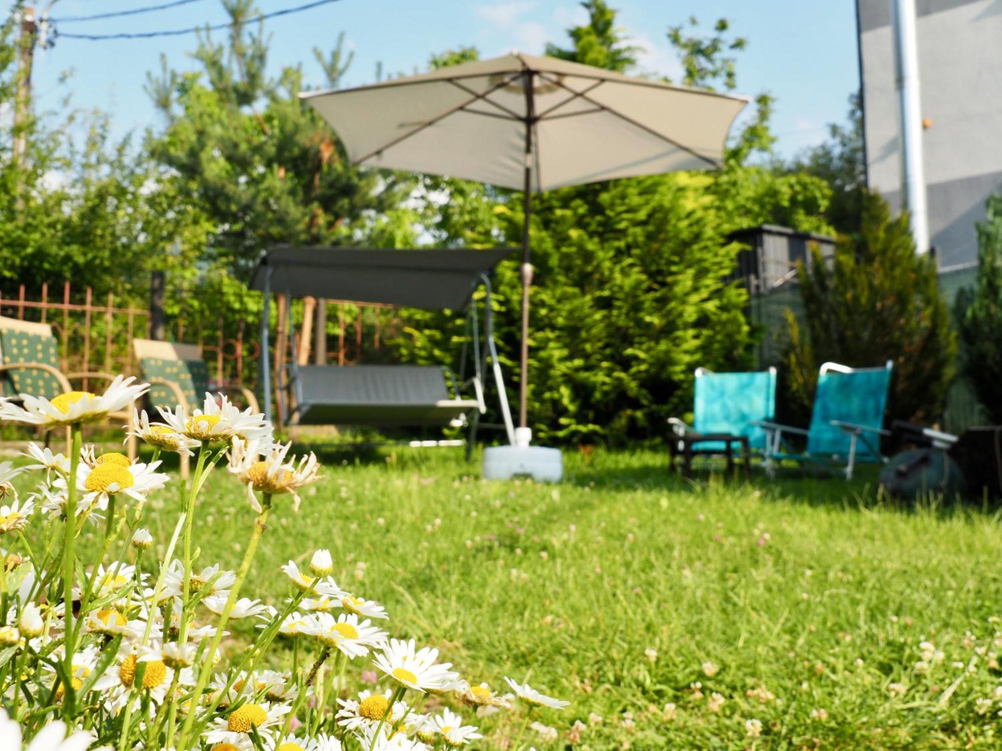 Holiday House Văliug エクステリア 写真