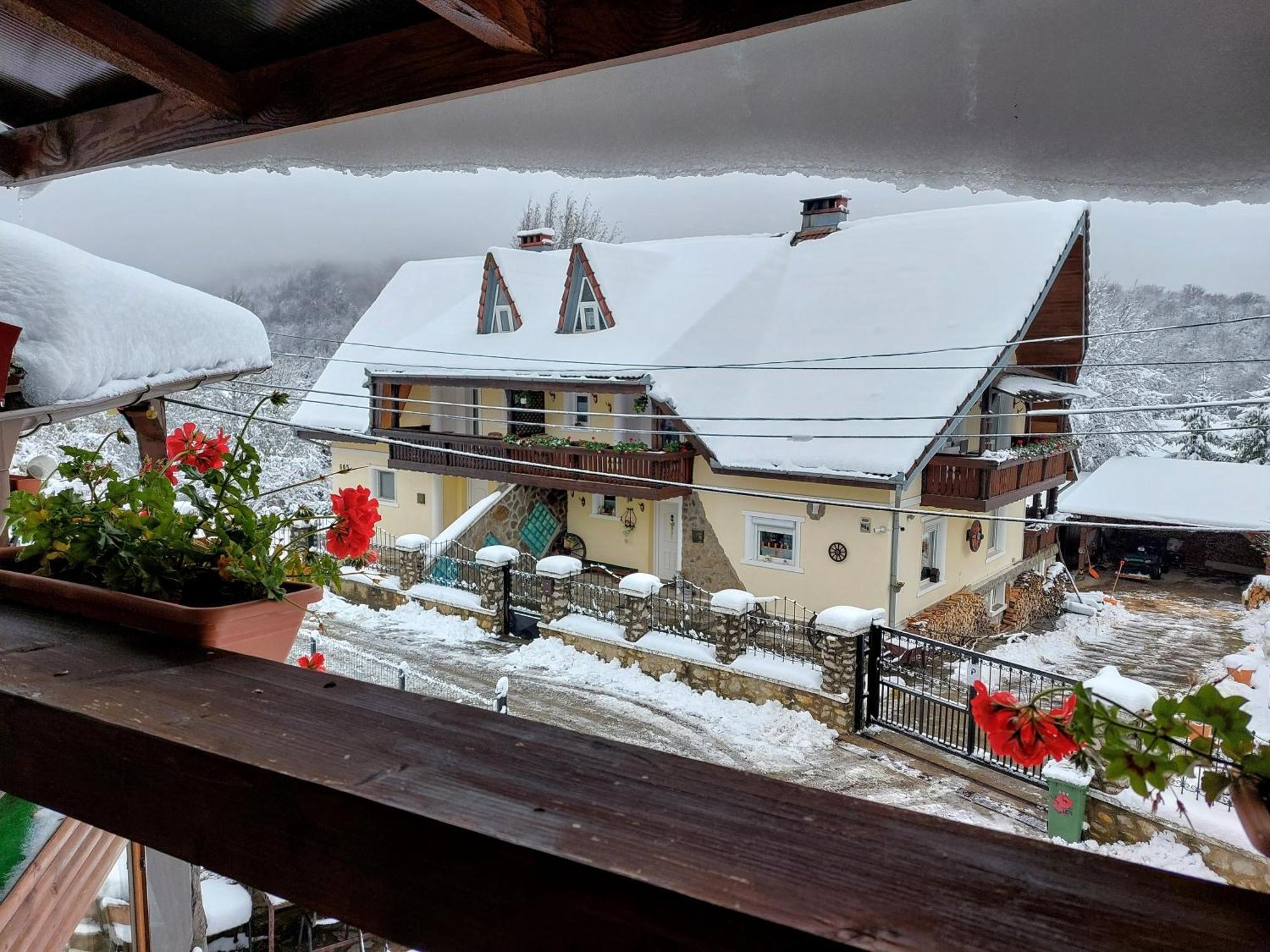 Holiday House Văliug エクステリア 写真