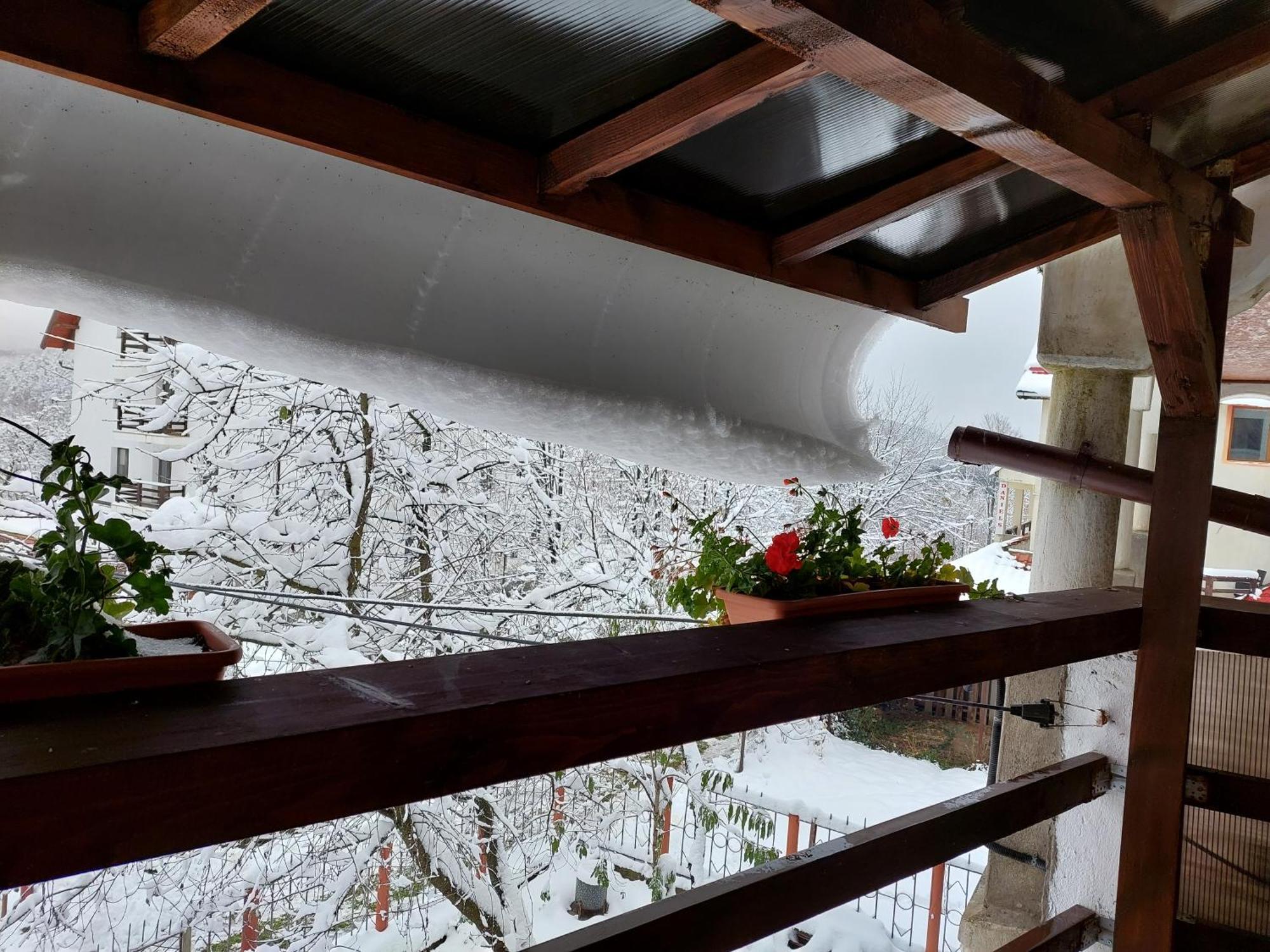 Holiday House Văliug エクステリア 写真