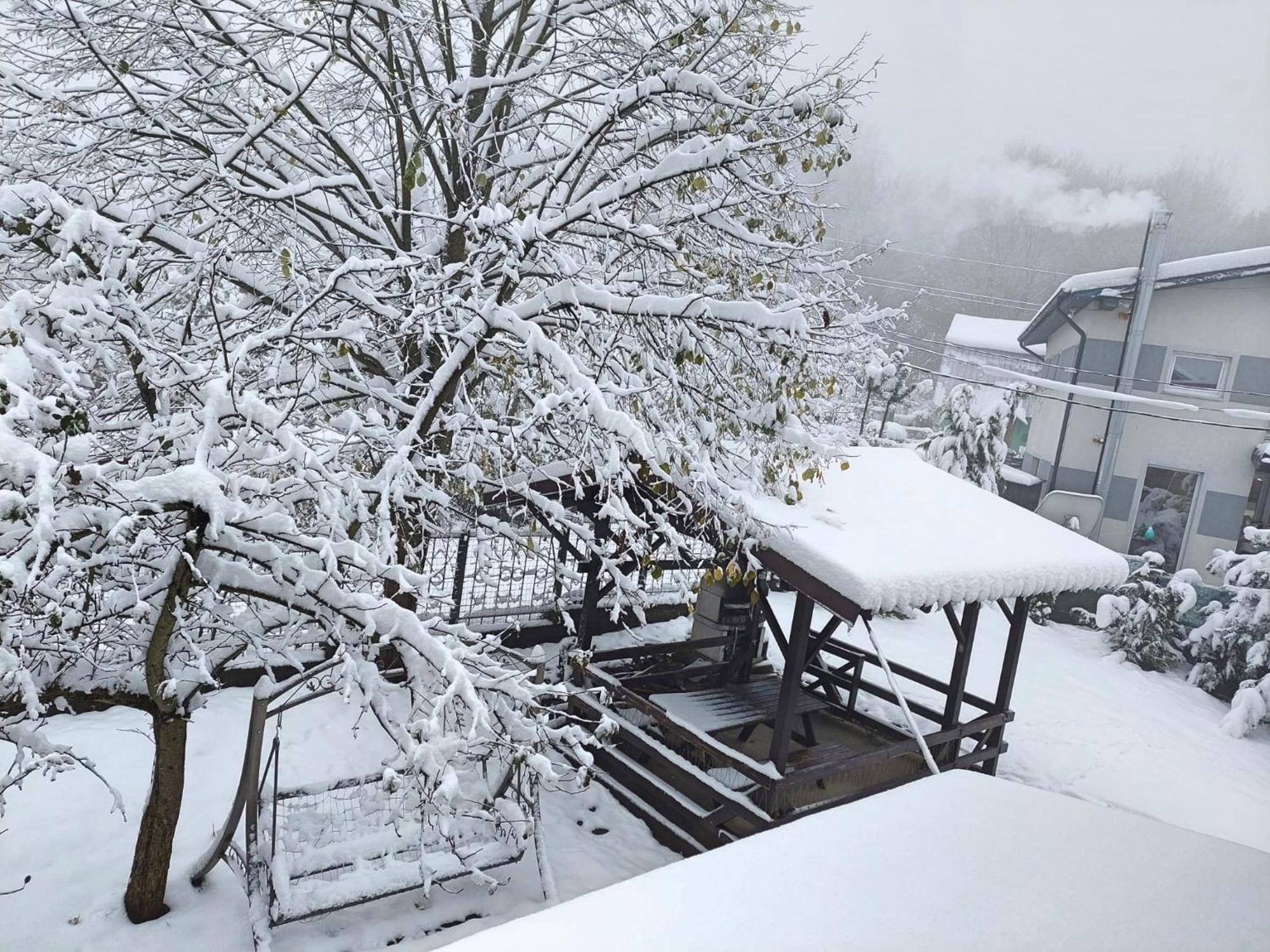 Holiday House Văliug エクステリア 写真